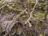 DSCF7315.webp