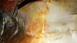 20170210_104552.webp 20170210_104552.webp