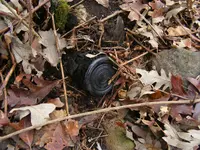 DSCF7325.webp