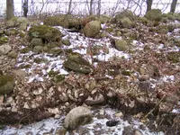 DSCF7426.webp