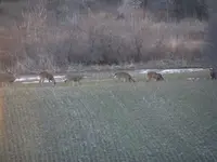 DSCF7560.webp