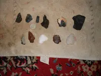 SDC12063.webp