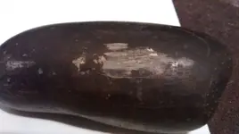 meteorite 352.webp