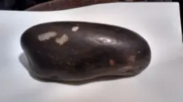 meteorite 350.webp