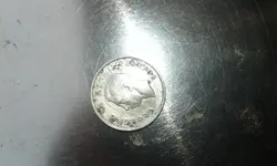 silver 6p.webp