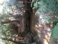20170309_123745.webp