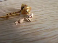 DSCN7008.webp
