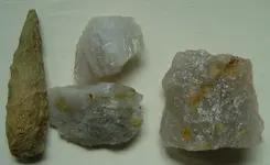 DSC05543.webp