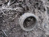 Mojave First Hunt 002.webp