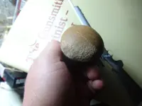 hammer stone 005.webp