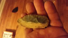 20170310_191917.webp