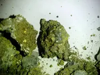 1488730617243.webp