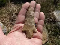 paleo,pickwick points 011.webp
