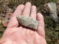 paleo,pickwick points 012.webp
