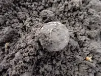 t1rsz_dsc01118.webp