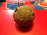 rsz_dsc01122.webp