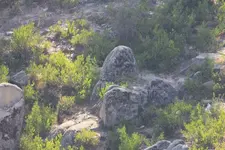 received_166780377158939.webp