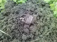 image2.webp