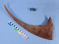 sickle.webp