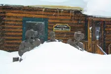 1-24e.webp
