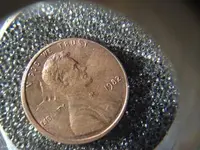 Penny Front.webp