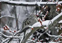 K1600_DSCN1358.webp