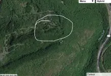 signseverywhere.webp