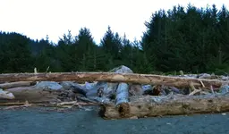 DSCN1862.webp