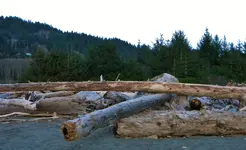 DSCN1863.webp