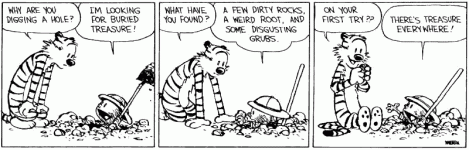 treasure-everywhere-calvin.gif