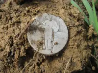 Mojave F75 - SLQ - Mercury Dime - Sterling Ring 011.webp