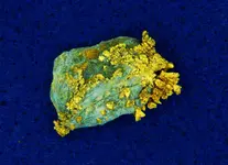 gold1.1.webp