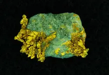 gold2.1.webp