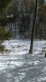 IMAG0576.webp