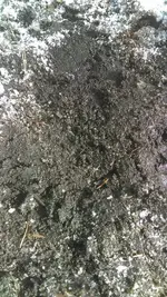 IMAG0579.webp