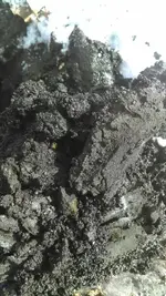 IMAG0580.webp