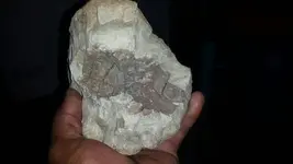 1488201046160.webp