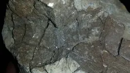 1488201115572.webp