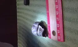 14887531748141259580772.webp