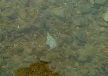 DSCF0021.webp