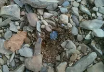 DSCF0028.webp
