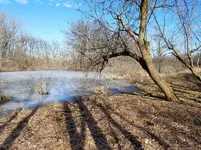 20170218_114717_001.webp