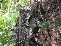 ImageUploadedByTreasureNet.com1485322420.799786.webp ImageUploadedByTreasureNet.com1485322420.799786.webp
