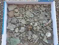 trash.webp