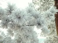 drive 020217 1.webp