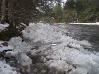 DSCF0448.webp