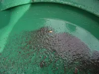 DSCF0453.webp