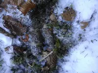 20170124_112157.webp