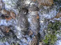 20170124_112213.webp