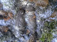 20170124_112217.webp
